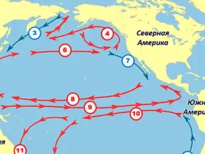 Тест Течения Мирового Океана [14 Вопросов]